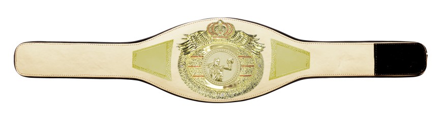 *NEW* PROICON FEMALE BOXING CHAMPIONSHIP BELT/G/FEMBOXG - AVAILABLE IN 6+ COLOURS